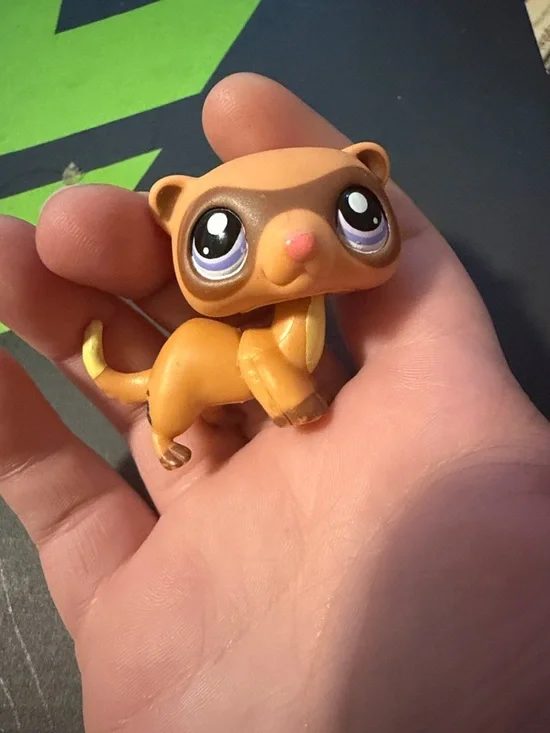 Ferret lps - Picture 1 of 4